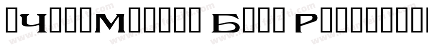 1HoonModern Bold Regular字体转换